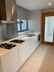 Park Infinia At Wee Nam (D11), Condominium #567707781